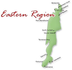 Map cutout of the Eastern region in Newfoundland Labrador, Canada